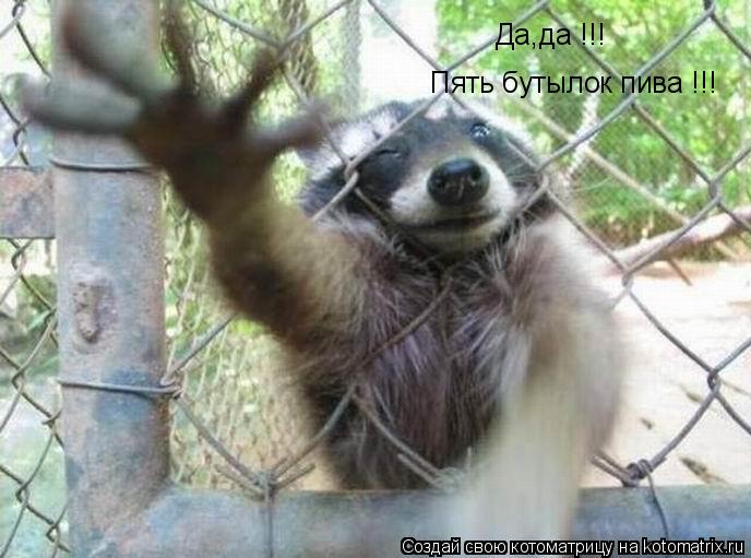 Да,да !!! Пять бутылок пива !!!... Котоматрица: Да,да !!! Пять бутылок пива !!!