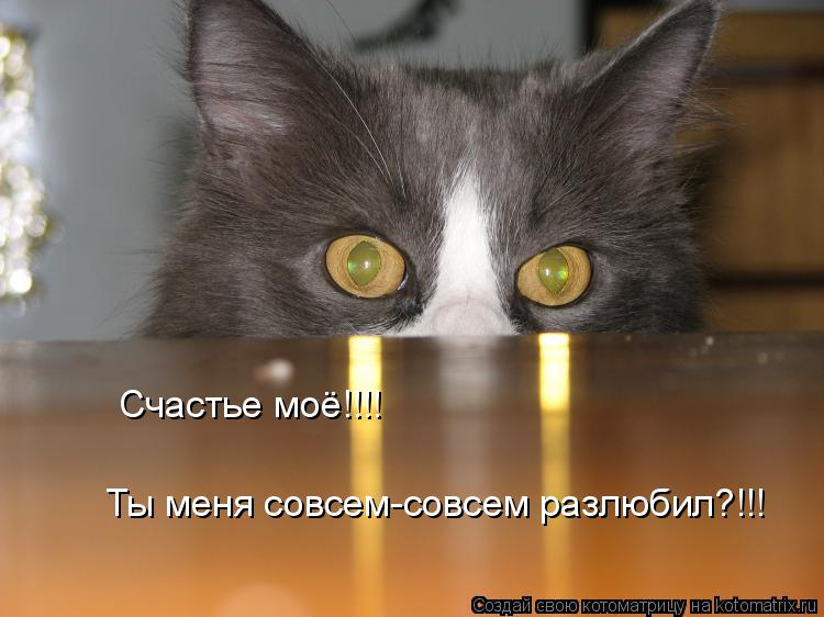 Счастье моё!!!! Ты меня совсем-совсем разлюбил?!!!... Котоматрица: Счастье моё!!!! Ты меня совсем-совсем разлюбил?!!!