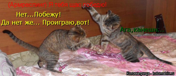 (Армреслинг) Я тебя щас победю! Нет...Побежу! Ага,канешн... Да нет же... Проиграю,вот!... Котоматрица: (Армреслинг) Я тебя щас победю! Нет...Побежу! Ага,канешн... Да нет же... Проиграю,вот!