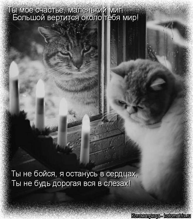Ты мое счастье, маленький миг! Большой вертится около тебя мир! Ты не бойся, я останусь в сердцах, Ты... Котоматрица: Ты мое счастье, маленький миг! Большой вертится около тебя мир! Ты не бойся, я останусь в сердцах, Ты не будь дорогая вся в слезах!