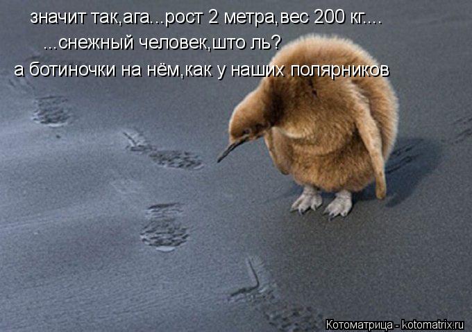 ...снежный человек,што ль? значит так,ага...рост 2 метра,вес 200 кг.... а ботиночки на нём,как у наши... Котоматрица: ...снежный человек,што ль? значит так,ага...рост 2 метра,вес 200 кг.... а ботиночки на нём,как у наших полярников
