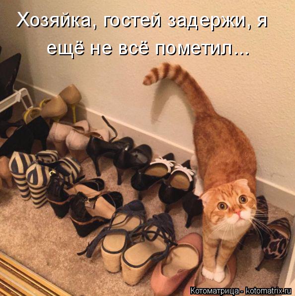 Хозяйка, гостей задержи, я ещё не всё пометил...... Котоматрица: Хозяйка, гостей задержи, я ещё не всё пометил...