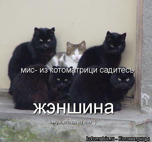 Котоматрица: мис- из котоматрици садитесь жэншина  муж кто то из них :)