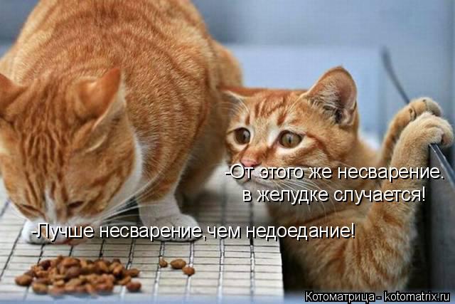 -От этого же несварение. в желудке случается! -Лучше несварение,чем недоедание!... Котоматрица: -От этого же несварение. в желудке случается! -Лучше несварение,чем недоедание!