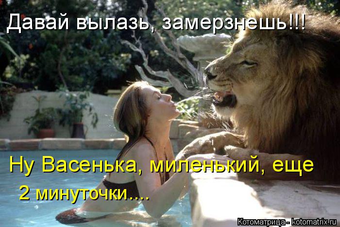 Давай вылазь, замерзнешь!!! Ну Васенька, миленький, еще 2 минуточки....... Котоматрица: Давай вылазь, замерзнешь!!! Ну Васенька, миленький, еще 2 минуточки....