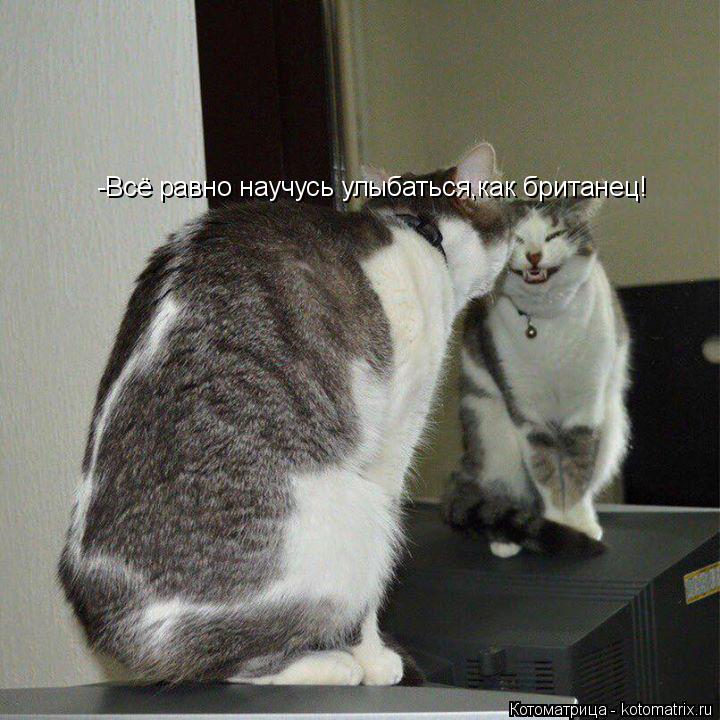 -Всё равно научусь улыбаться,как британец!... Котоматрица: -Всё равно научусь улыбаться,как британец!