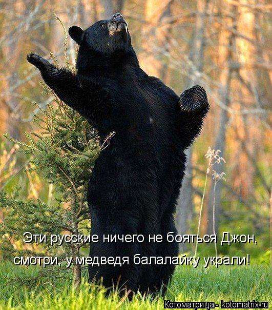 Котоматрица: Эти русские ничего не бояться Джон, смотри, у медведя балалайку украли!