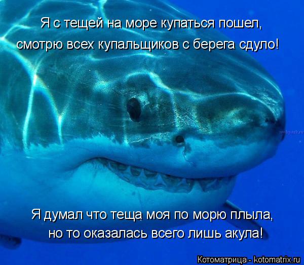 Я с тещей на море купаться пошел, смотрю всех купальщиков с берега сдуло! но то оказалась всего лишь ... Котоматрица: Я с тещей на море купаться пошел, смотрю всех купальщиков с берега сдуло! но то оказалась всего лишь акула! Я думал что теща моя по морю плыла