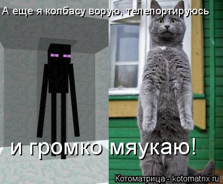 А еще я колбасу ворую, телепортируюсь и громко мяукаю!... Котоматрица: А еще я колбасу ворую, телепортируюсь и громко мяукаю!