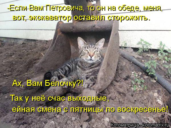 -Если Вам Петровича, то он на обеде, меня, вот, экскаватор оставил сторожить. Ах, Вам Белочку?! Так ... Котоматрица: -Если Вам Петровича, то он на обеде, меня, вот, экскаватор оставил сторожить. Ах, Вам Белочку?! Так у неё счас выходные, ейная смена с пятницы п