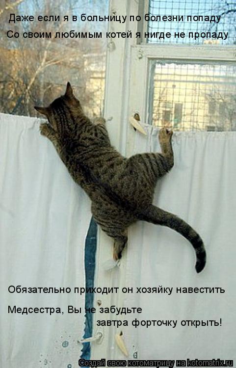 Даже если я в больницу по болезни попаду Со своим любимым котей я нигде не пропаду Обязательно приход... Котоматрица: Даже если я в больницу по болезни попаду Со своим любимым котей я нигде не пропаду Обязательно приходит он хозяйку навестить Медсестра, Вы