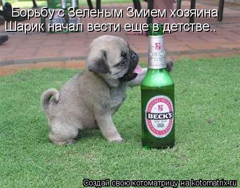 Борьбу с Зеленым Змием хозяина Шарик начал вести еще в детстве..... Котоматрица: Борьбу с Зеленым Змием хозяина Шарик начал вести еще в детстве..