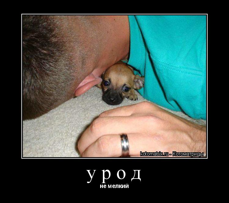 урод не мелкий... Котоматрица: урод не мелкий