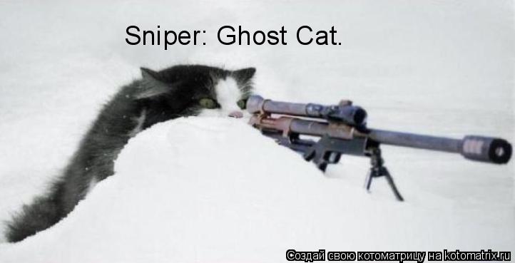 Котоматрица: Sniper: Ghost Cat.