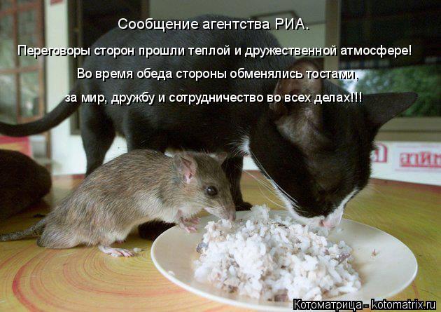 Сообщение агентства РИА. Переговоры сторон прошли теплой и дружественной атмосфере! Во время обеда ст... Котоматрица: Сообщение агентства РИА. Переговоры сторон прошли теплой и дружественной атмосфере! Во время обеда стороны обменялись тостами, за мир, дру
