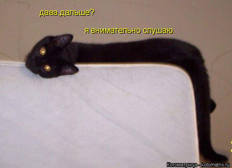 дааа,дальше? я внимательно слушаю.... Котоматрица: дааа,дальше? я внимательно слушаю.