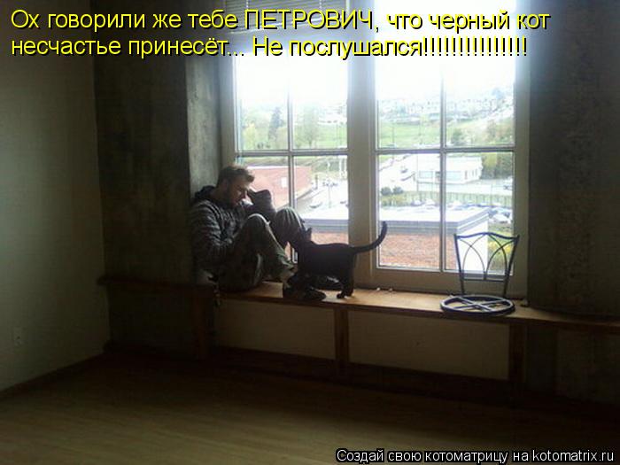 Ох говорили же тебе ПЕТРОВИЧ, что черный кот несчастье принесёт... Не послушался!!!!!!!!!!!!!!!... Котоматрица: Ох говорили же тебе ПЕТРОВИЧ, что черный кот несчастье принесёт... Не послушался!!!!!!!!!!!!!!!