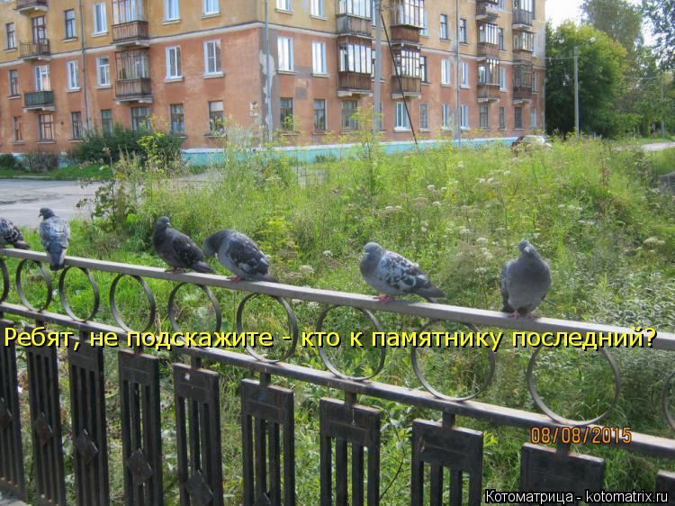 Ребят, не подскажите - кто к памятнику последний?... Котоматрица: Ребят, не подскажите - кто к памятнику последний?