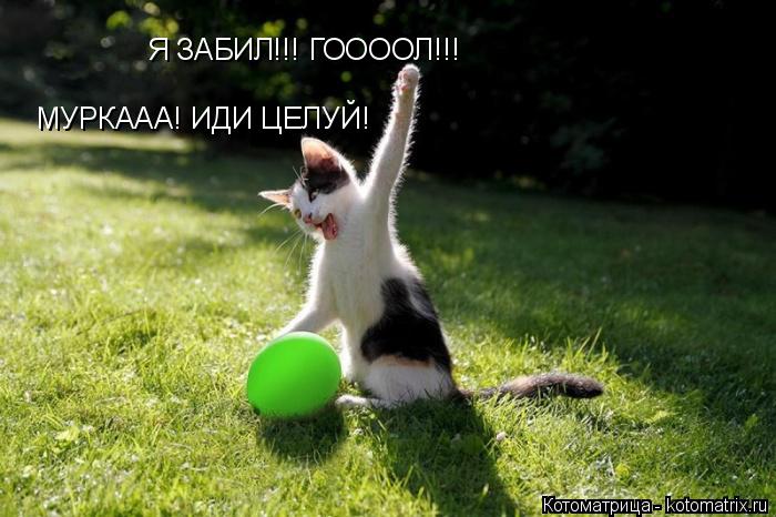 Я ЗАБИЛ!!! ГООООЛ!!! МУРКААА! ИДИ ЦЕЛУЙ!... Котоматрица: Я ЗАБИЛ!!! ГООООЛ!!! МУРКААА! ИДИ ЦЕЛУЙ!