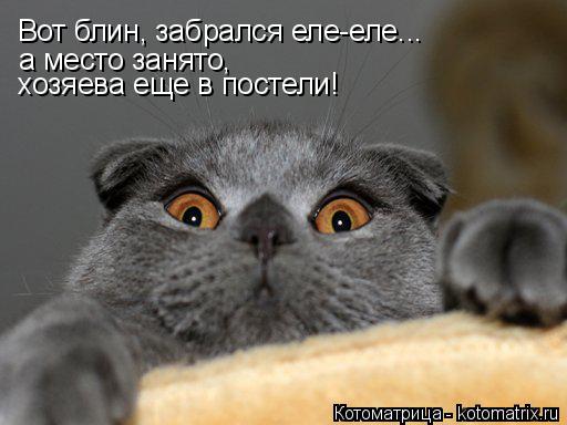 Вот блин, забрался еле-еле... а место занято, хозяева еще в постели!... Котоматрица: Вот блин, забрался еле-еле... а место занято, хозяева еще в постели!