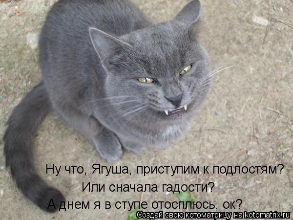 Ну что, Ягуша, приступим к подлостям? Или сначала гадости? А днем я в ступе отосплюсь, ок?... Котоматрица: Ну что, Ягуша, приступим к подлостям? Или сначала гадости? А днем я в ступе отосплюсь, ок?