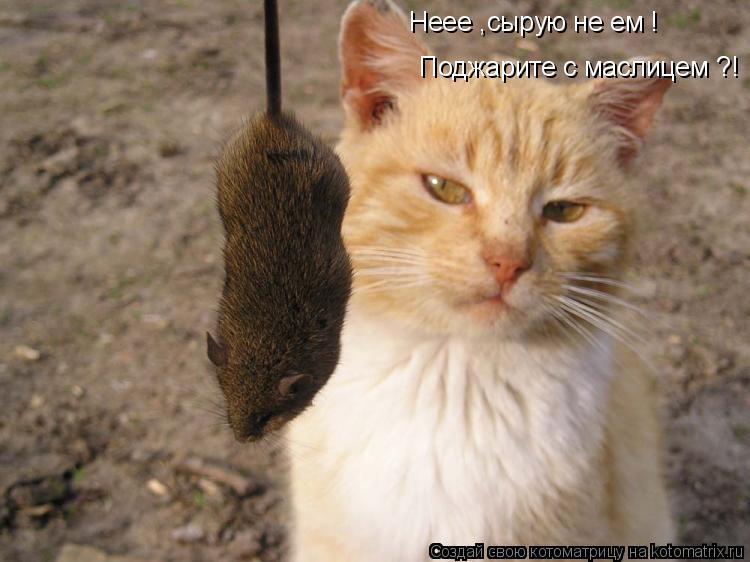 Неее ,сырую не ем ! Поджарите с маслицем ?!... Котоматрица: Неее ,сырую не ем ! Поджарите с маслицем ?!