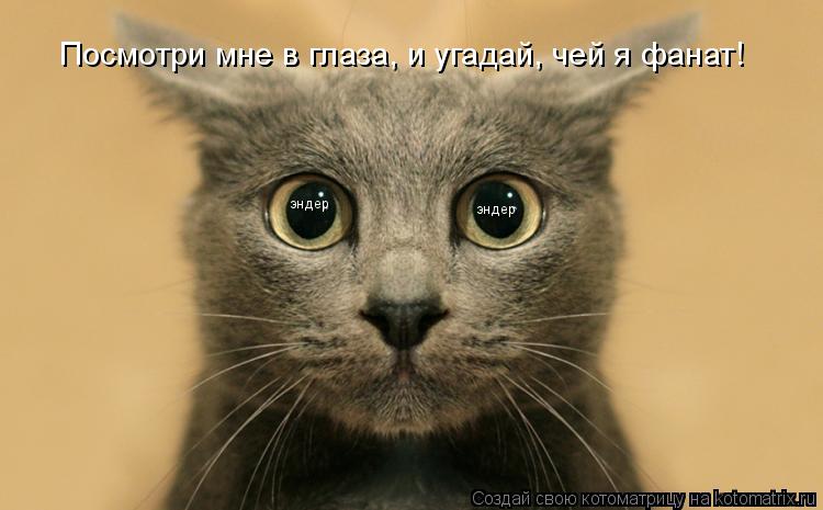 эндер эндер Посмотри мне в глаза, и угадай, чей я фанат!... Котоматрица: эндер эндер Посмотри мне в глаза, и угадай, чей я фанат!