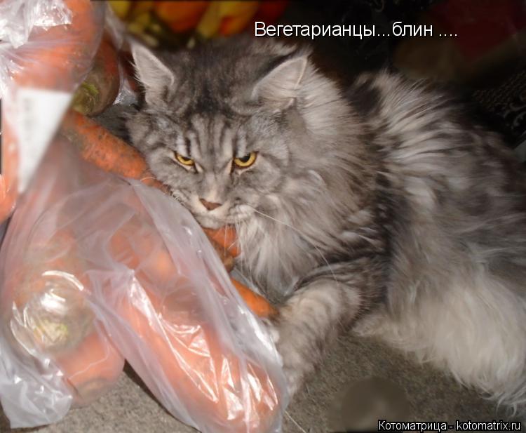 Вегетарианцы...блин ....... Котоматрица: Вегетарианцы...блин ....