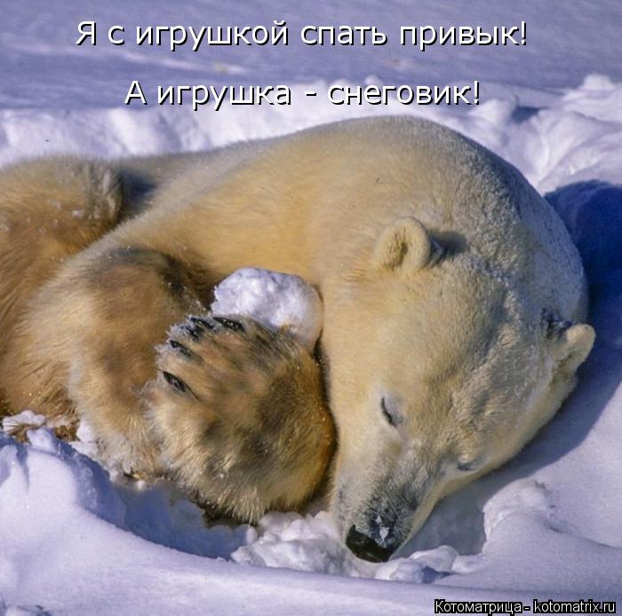 Я с игрушкой спать привык! А игрушка - снеговик!... Котоматрица: Я с игрушкой спать привык! А игрушка - снеговик!