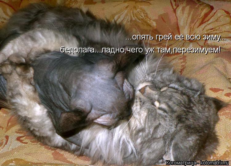 ...опять грей её всю зиму... бедолага...ладно,чего уж там,перезимуем!... Котоматрица: ...опять грей её всю зиму... бедолага...ладно,чего уж там,перезимуем!