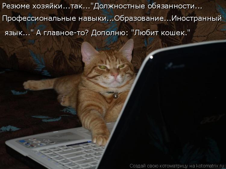 Котоматрица: Резюме хозяйки...так..."Должностные обязанности... Профессиональные навыки...Образование...Иностранный  язык..." А главное-то? Дополню: "Любит ко