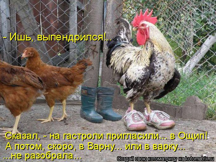 Сказал, - на гастроли пригласили... в Ощип! ...не разобрала... А потом, скоро, в Варну... или в варку... Котоматрица: Сказал, - на гастроли пригласили... в Ощип! ...не разобрала... А потом, скоро, в Варну... или в варку... - Ишь, выпендрился!..