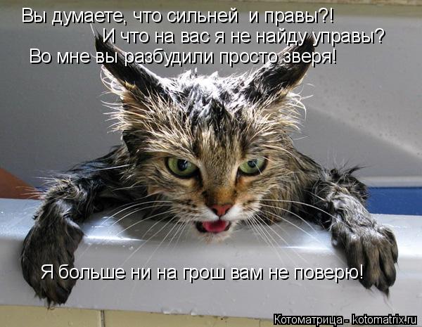 Вы думаете, что сильней и правы?! И что на вас я не найду управы? Во мне вы разбудили просто зверя! ... Котоматрица: Вы думаете, что сильней и правы?! И что на вас я не найду управы? Во мне вы разбудили просто зверя! Я больше ни на грош вам не поверю!