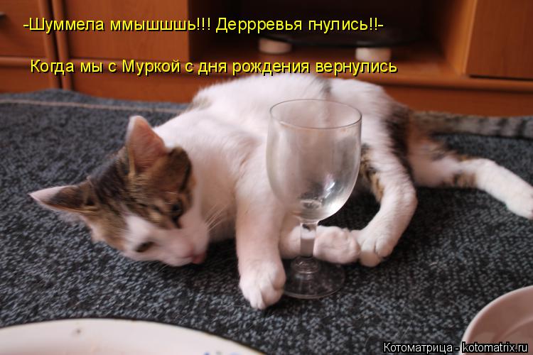 Когда мы с Муркой с дня рождения вернулись -Шуммела ммышшшь!!! Деррревья гнулись!!-... Котоматрица: Когда мы с Муркой с дня рождения вернулись -Шуммела ммышшшь!!! Деррревья гнулись!!-