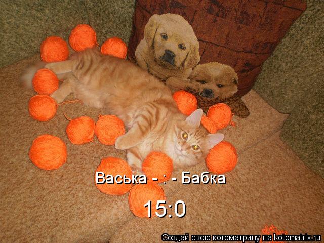 15:0 Васька - : - Бабка... Котоматрица: 15:0 Васька - : - Бабка