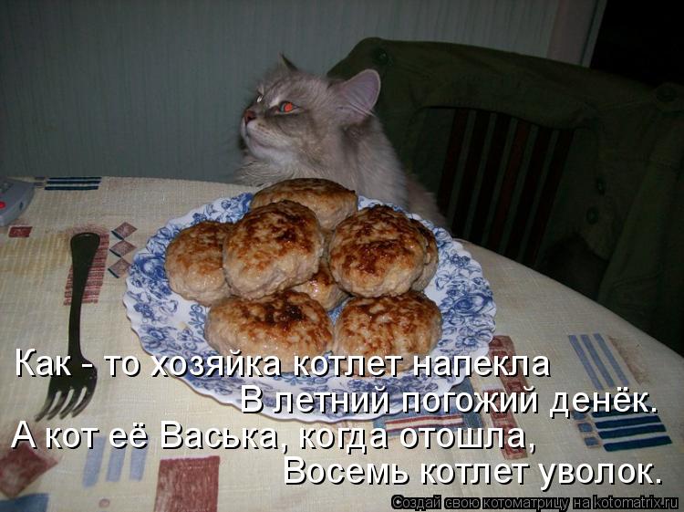 Восемь котлет уволок. А кот её Васька, когда отошла, В летний погожий денёк. Как - то хозяйка котлет ... Котоматрица: Восемь котлет уволок. А кот её Васька, когда отошла, В летний погожий денёк. Как - то хозяйка котлет напекла