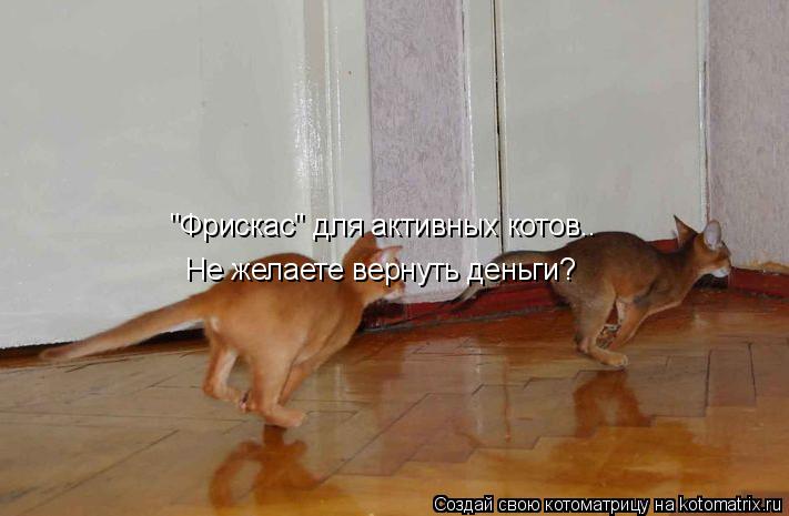 "Фрискас" для активных котов.. Не желаете вернуть деньги?... Котоматрица: "Фрискас" для активных котов.. Не желаете вернуть деньги?