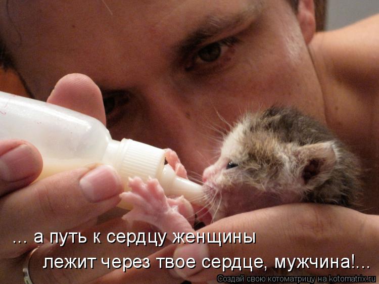 ... а путь к сердцу женщины лежит через твое сердце, мужчина!...... Котоматрица: ... а путь к сердцу женщины лежит через твое сердце, мужчина!...