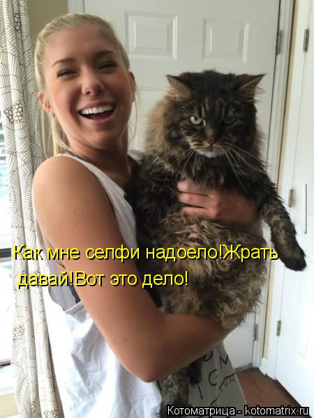 Как мне селфи надоело!Жрать давай!Вот это дело!... Котоматрица: Как мне селфи надоело!Жрать давай!Вот это дело!