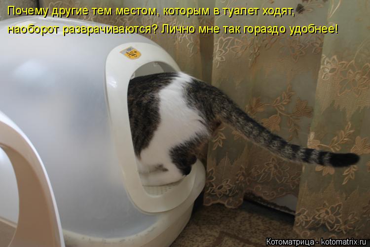 Почему другие тем местом, которым в туалет ходят, наоборот разврачиваются? Лично мне так гораздо удо... Котоматрица: Почему другие тем местом, которым в туалет ходят, наоборот разврачиваются? Лично мне так гораздо удобнее!