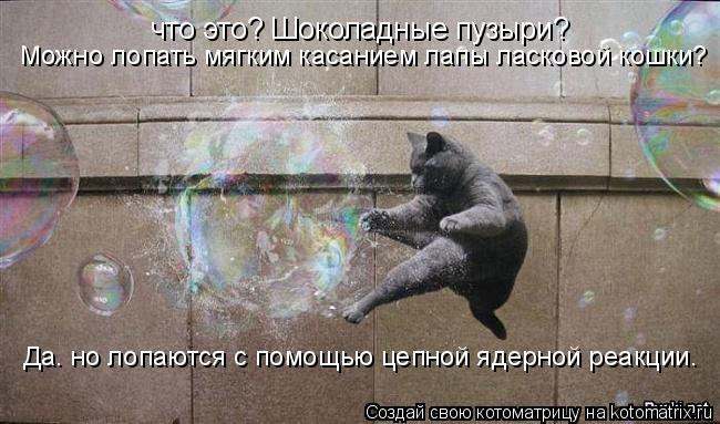 что это? Шоколадные пузыри? Можно лопать мягким касанием лапы ласковой кошки? Да. но лопаются с помощ... Котоматрица: что это? Шоколадные пузыри? Можно лопать мягким касанием лапы ласковой кошки? Да. но лопаются с помощью цепной ядерной реакции.