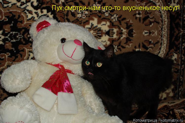 Пух,смотри-нам что-то вкусненькое несут!... Котоматрица: Пух,смотри-нам что-то вкусненькое несут!