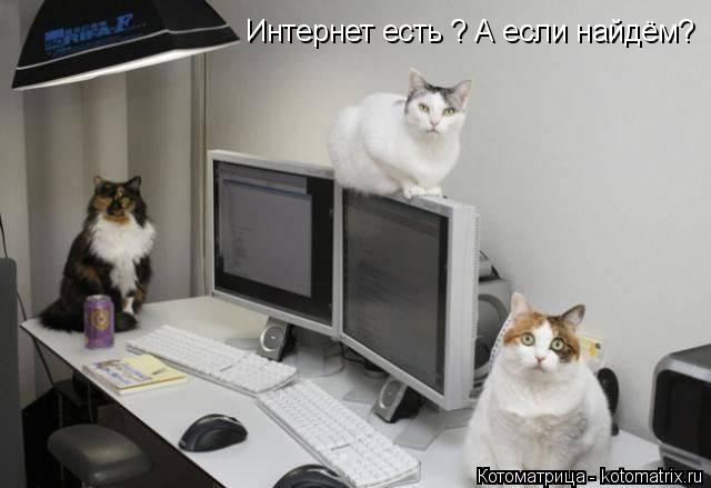 Интернет есть ? А если найдём? Интернет есть ? А если найдём?... Котоматрица: Интернет есть ? А если найдём? Интернет есть ? А если найдём?