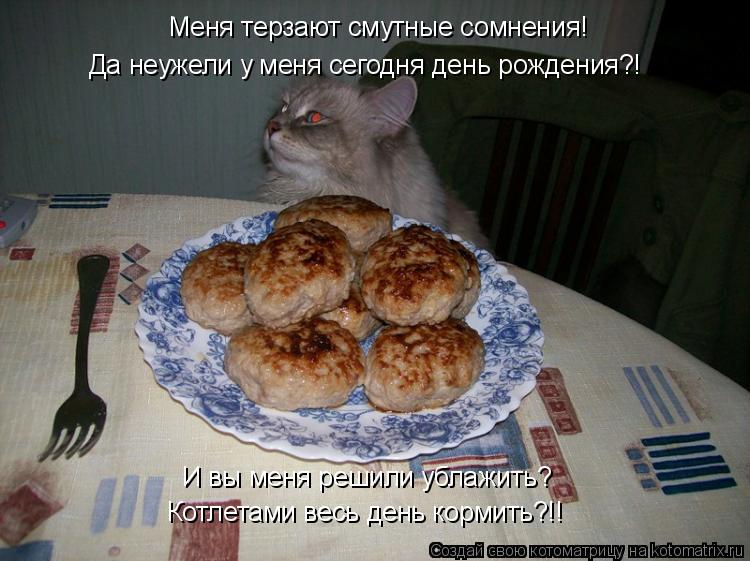 Меня терзают смутные сомнения! Да неужели у меня сегодня день рождения?! И вы меня решили ублажить? К... Котоматрица: Меня терзают смутные сомнения! Да неужели у меня сегодня день рождения?! И вы меня решили ублажить? Котлетами весь день кормить?!!