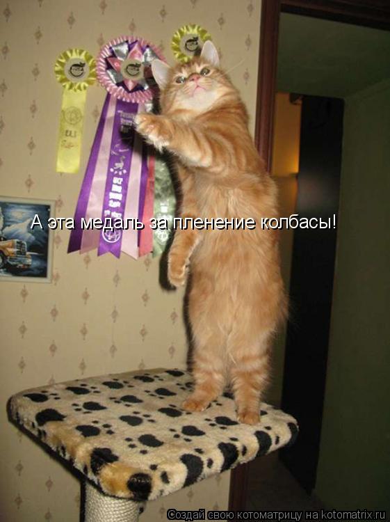 Котоматрица: А эта медаль за пленение колбасы!