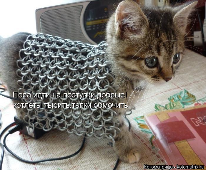 Пора идти на поступки добрые! котлеты тырить.тапки обмочить.... Котоматрица: Пора идти на поступки добрые! котлеты тырить.тапки обмочить.