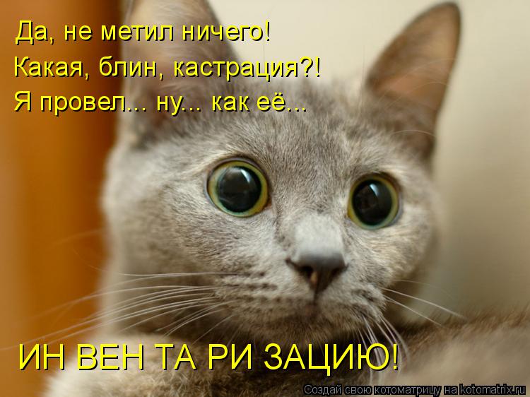 ИН ВЕН ТА РИ ЗАЦИЮ! Да, не метил ничего! Какая, блин, кастрация?! Я провел... ну... как её...... Котоматрица: ИН ВЕН ТА РИ ЗАЦИЮ! Да, не метил ничего! Какая, блин, кастрация?! Я провел... ну... как её...