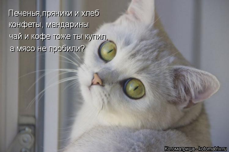 Печенья,пряники и хлеб конфеты, мандарины чай и кофе тоже ты купил, а мясо не пробили?... Котоматрица: Печенья,пряники и хлеб конфеты, мандарины чай и кофе тоже ты купил, а мясо не пробили?