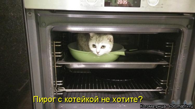Пирог с котейкой не хотите?... Котоматрица: Пирог с котейкой не хотите?