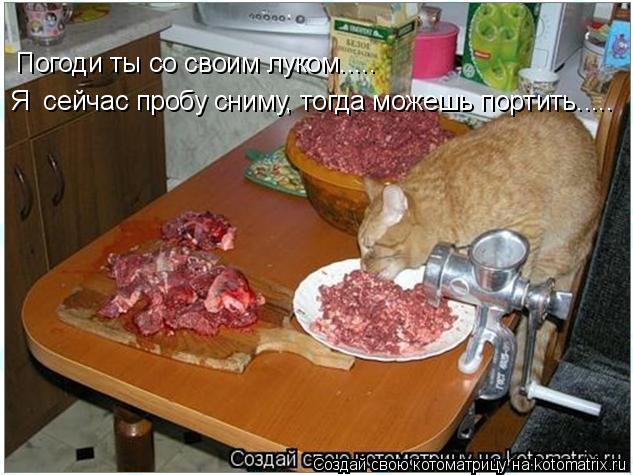 Котоматрица: Погоди ты со своим луком..... Я  сейчас пробу сниму, тогда можешь портить.....